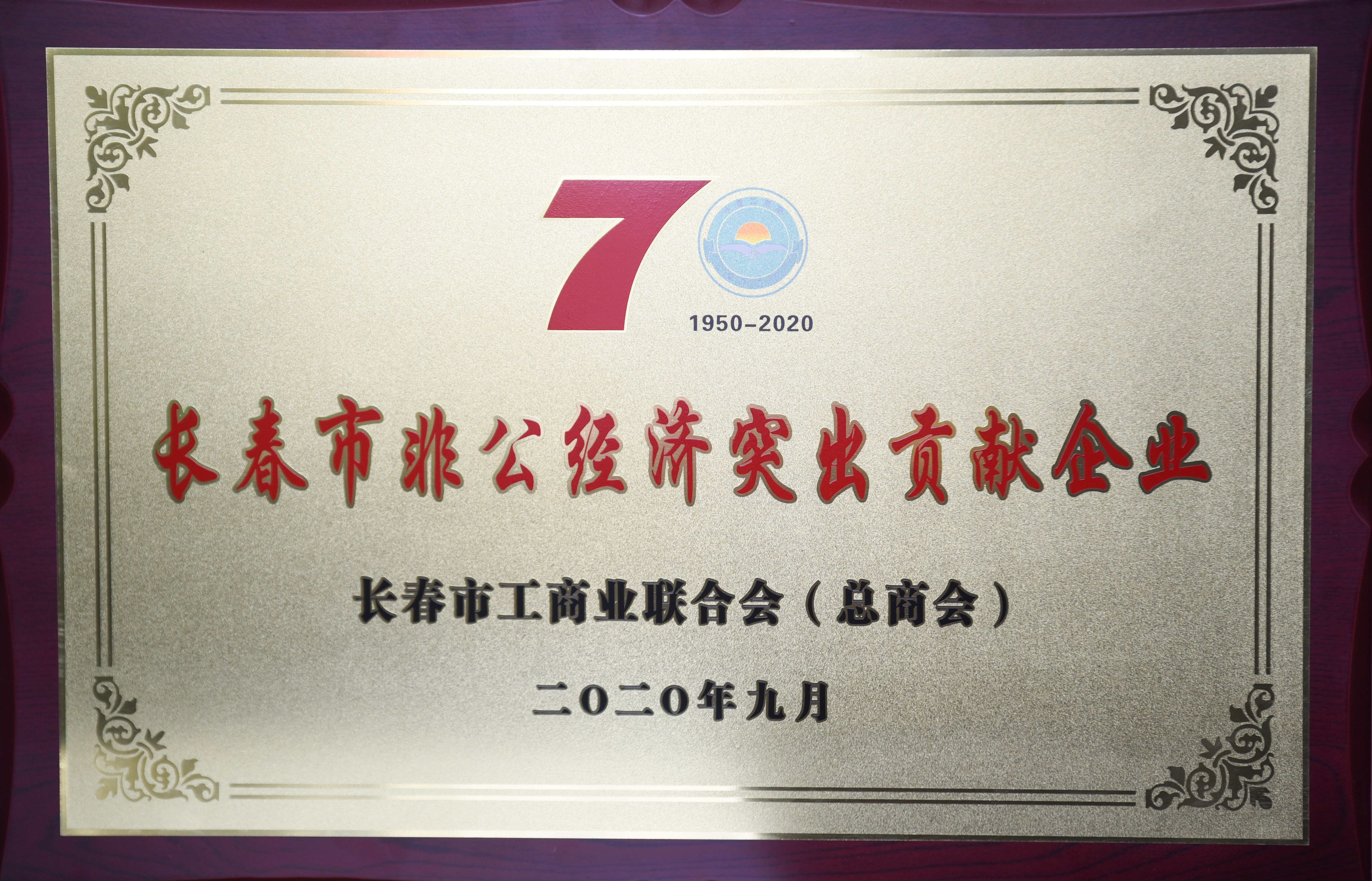 中通國脈被授予”長春市民營經濟突出貢獻企業(yè)“稱號